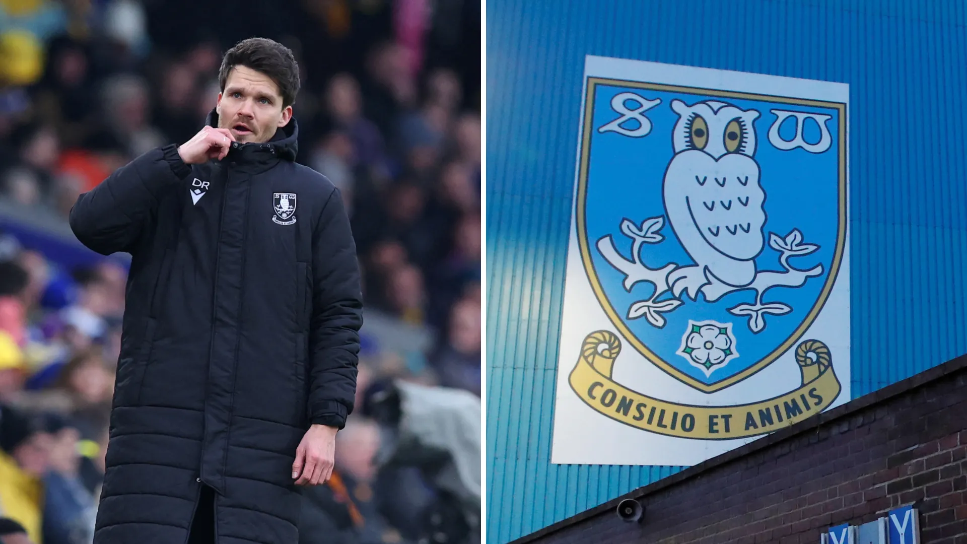 HLV Danny Röhl của Sheffield Wednesday đang chỉ đạo chiến thuật