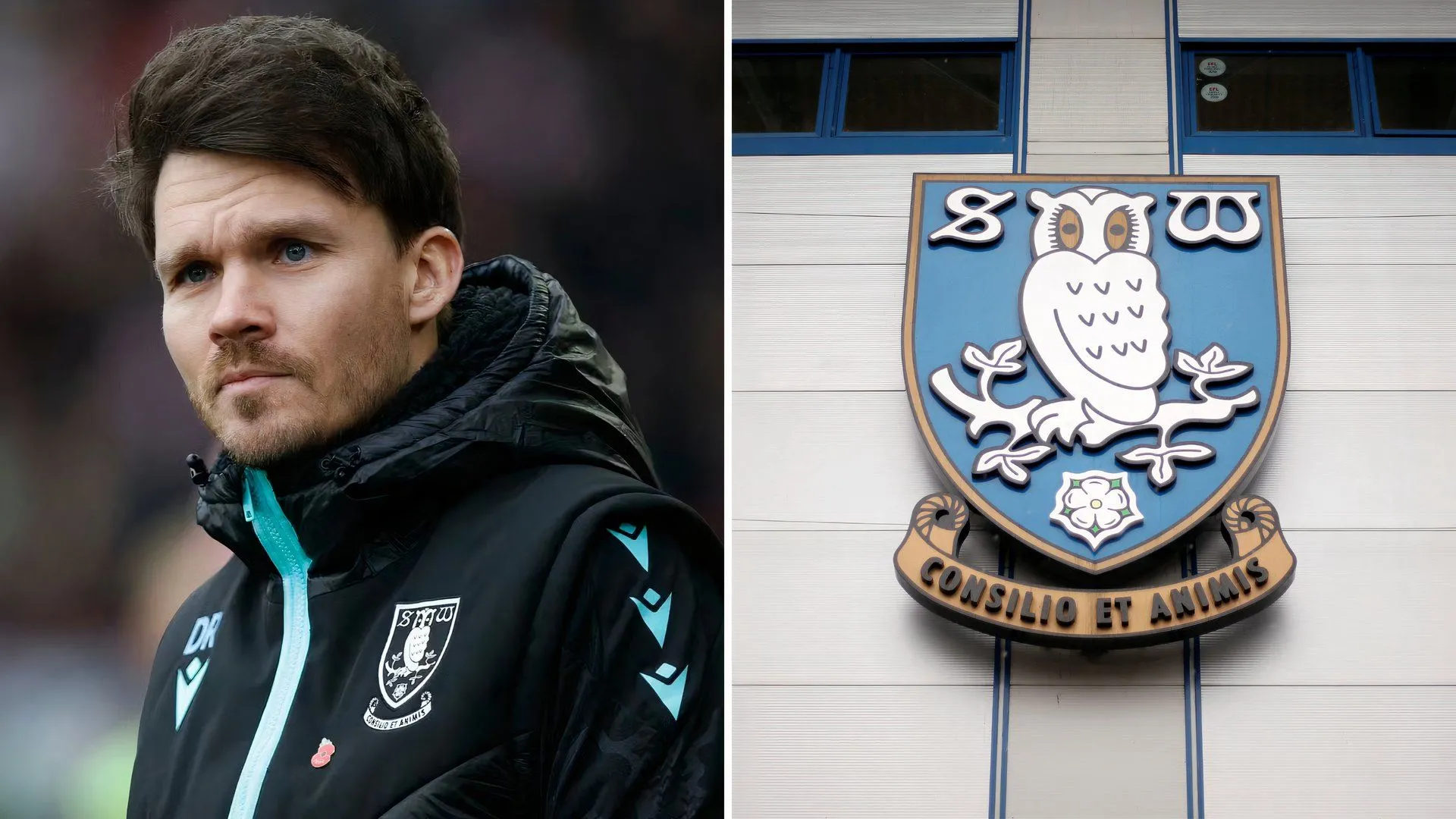 HLV Danny Rohl của Sheffield Wednesday trên đường biên sân Hillsborough